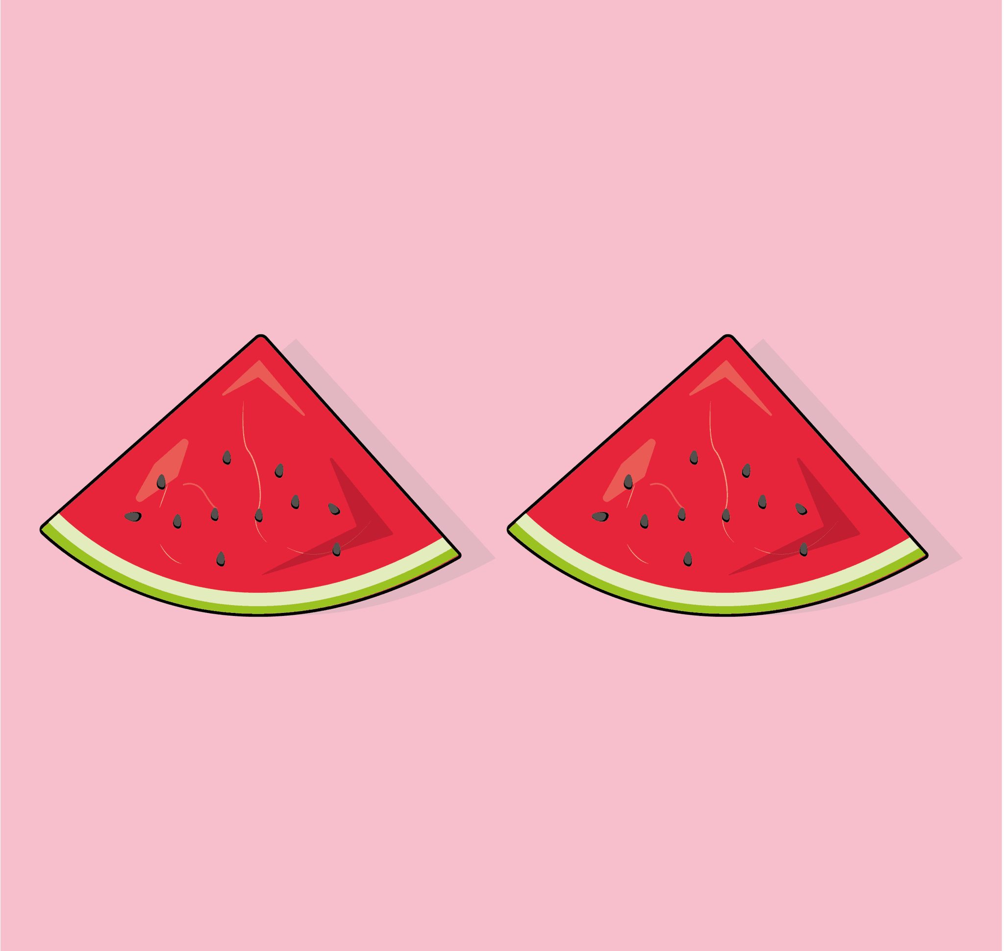 Watermelon illustration